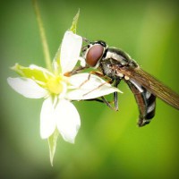 /album/prueba-fh-engel/photolia-a02-jpg/