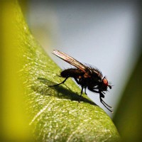 /album/prueba-fh-engel/photolia-a04-jpg/