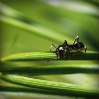 /album/prueba-fh-engel/photolia-a05-jpg/