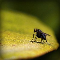 /album/prueba-fh-engel/photolia-a07-jpg/