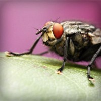 /album/prueba-fh-engel/photolia-a08-jpg/